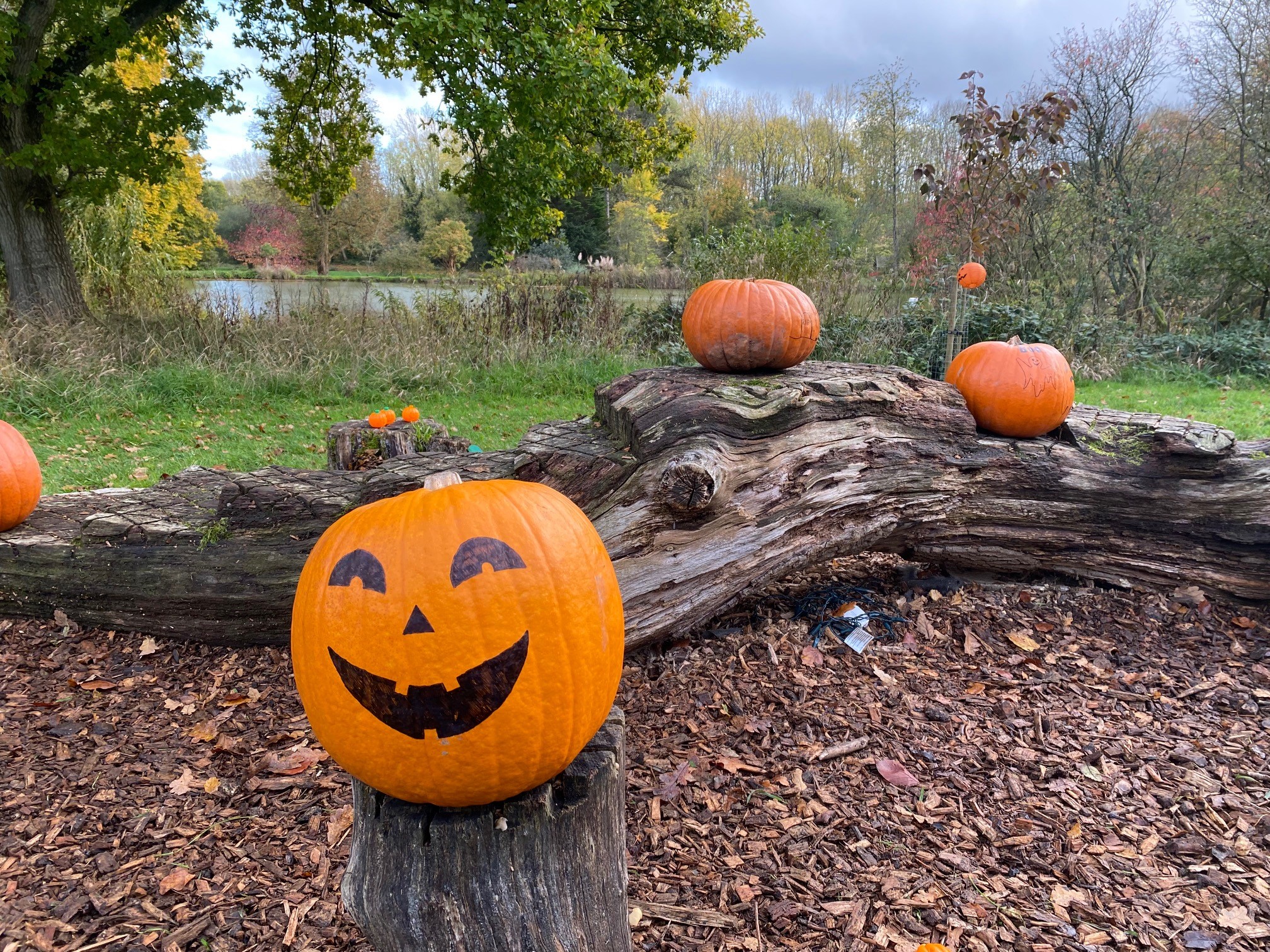 Open Day - Halloween Wizards and Witches